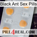 Black Ant Sex Pills 24